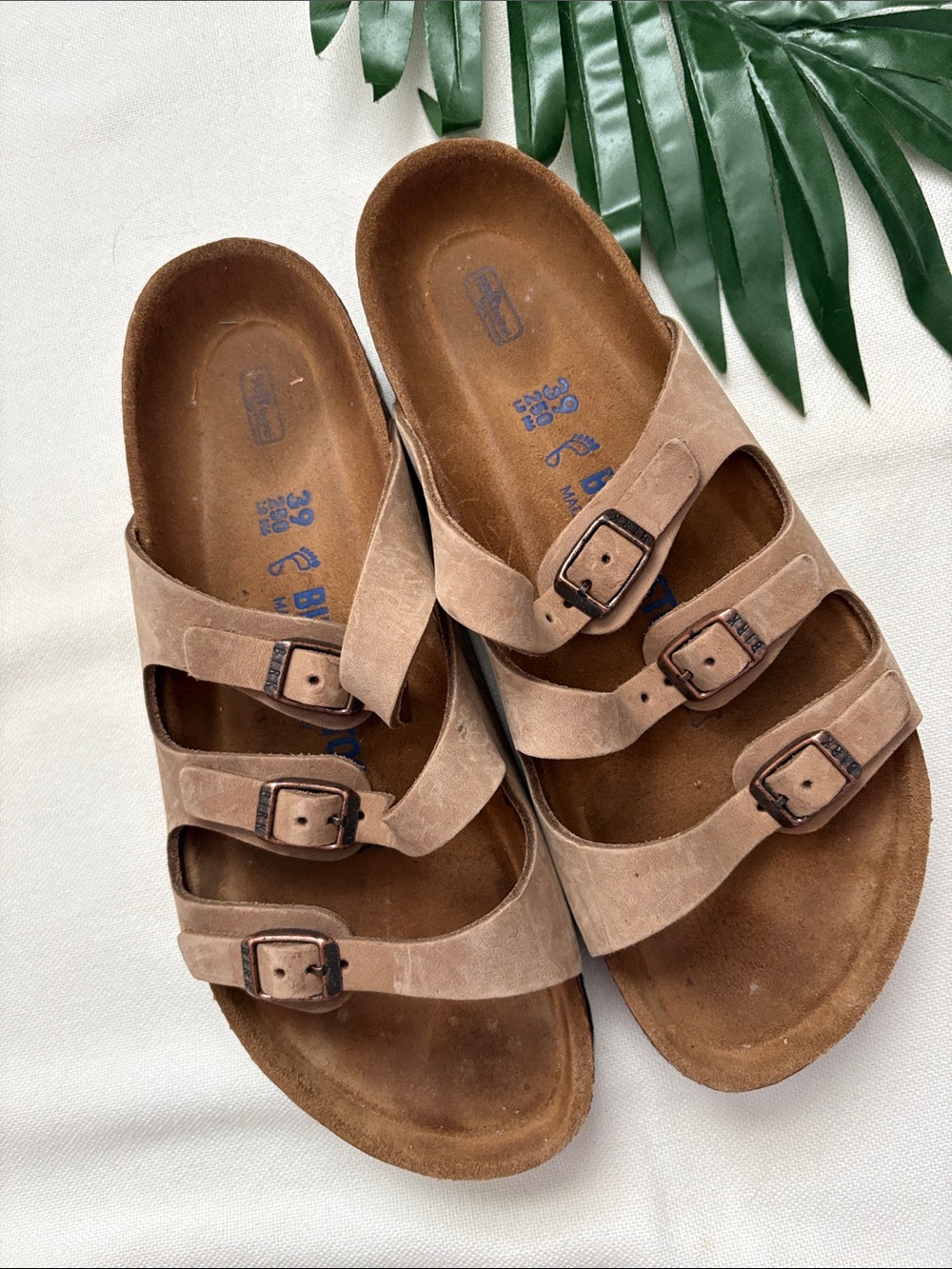 Birkenstock Florida